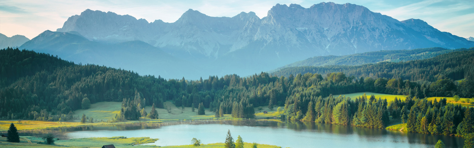 Marille - Ferienwohnung Grainau Barbara Seufferth