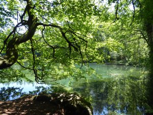 Badersee