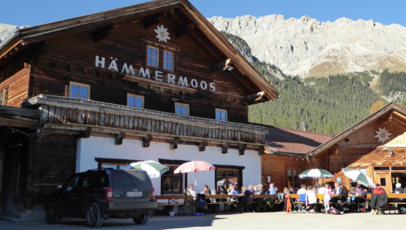 Allerheiligen-Sonne auf der Alm