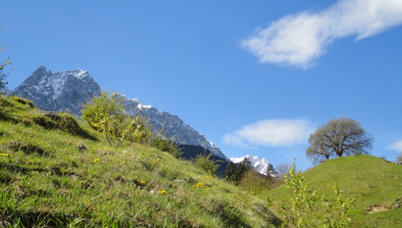 Spaziergang im Mai