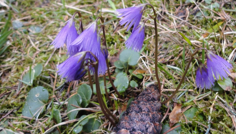 Frohe Ostern