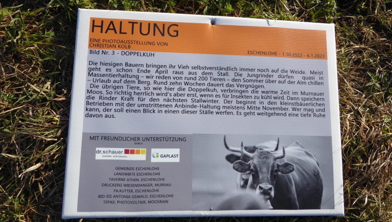Haltung