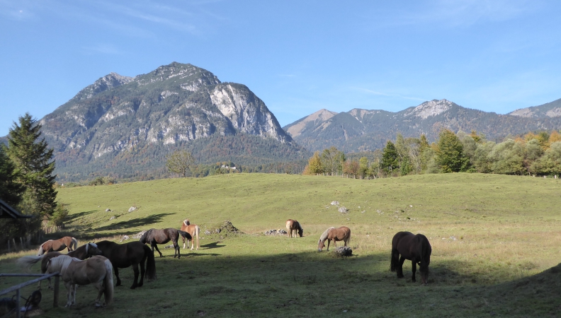 Mit Blick in´s Gebirge
